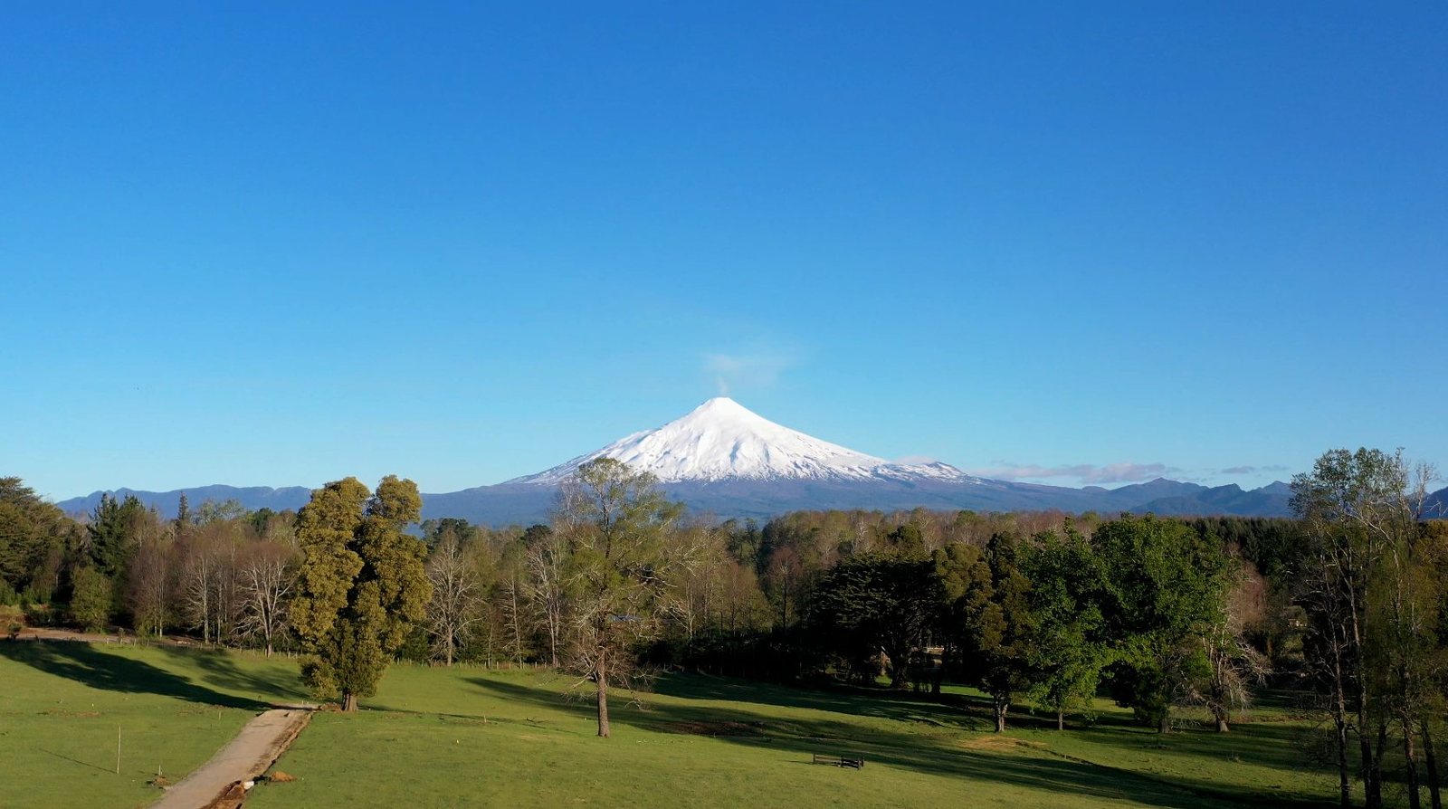Campo Alto Roble